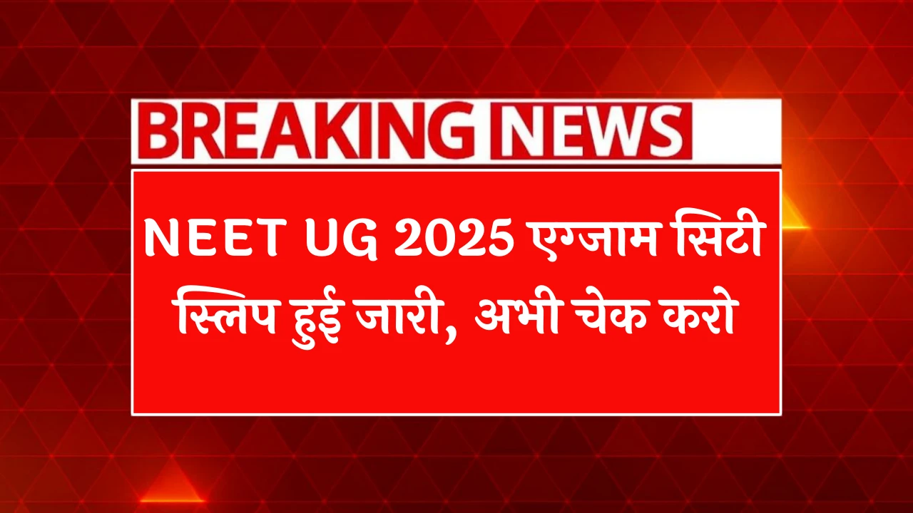 NEET UG 2025 Exam City Slip
